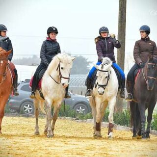 Cours collectif en centre equestre