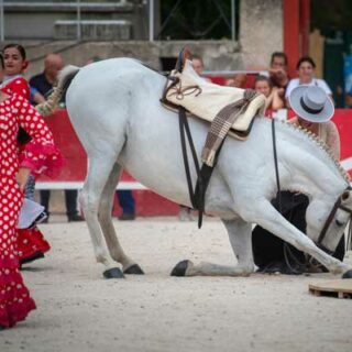 Baïla con arte, flamenco et chevaux
