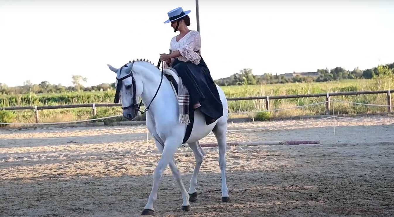 Spectacle typique de la culture andalouse avec des chevaux de l'écurie Art Equestre et traditions à Barbentane